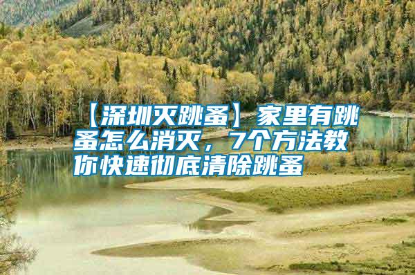 【深圳滅跳蚤】家里有跳蚤怎么消滅，7個方法教你快速徹底清除跳蚤