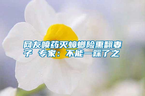 網(wǎng)友噴藥滅蟑螂險熏翻妻子 專家：不能一踩了之