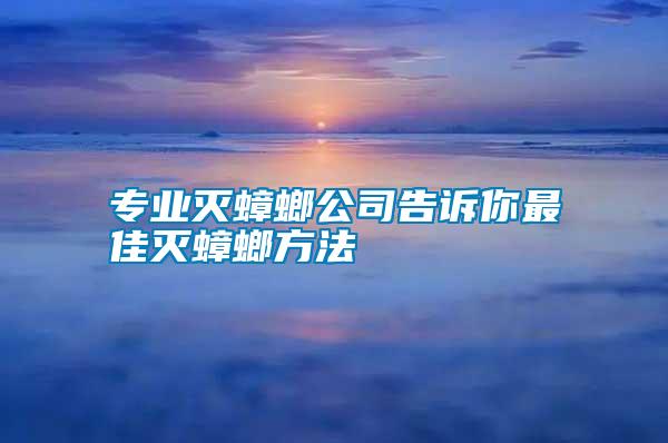 專業(yè)滅蟑螂公司告訴你最佳滅蟑螂方法