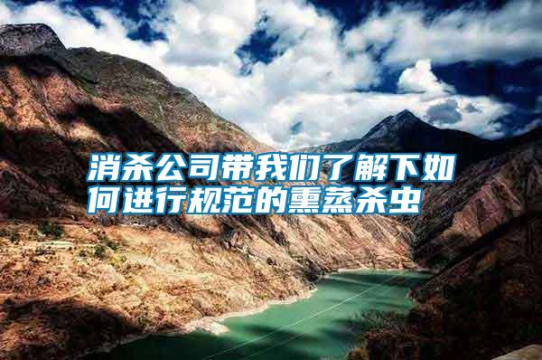 消殺公司帶我們了解下如何進(jìn)行規(guī)范的熏蒸殺蟲(chóng)