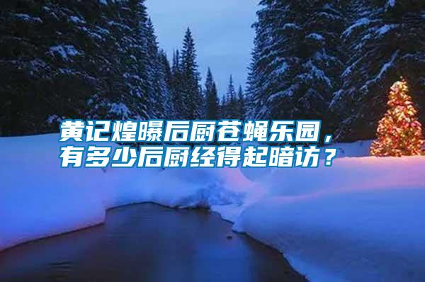 黃記煌曝后廚蒼蠅樂園， 有多少后廚經(jīng)得起暗訪？