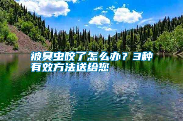 被臭蟲咬了怎么辦？3種有效方法送給您