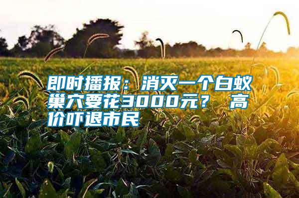 即時播報：消滅一個白蟻巢穴要花3000元？ 高價嚇退市民