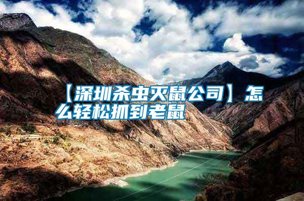 【深圳殺蟲滅鼠公司】怎么輕松抓到老鼠