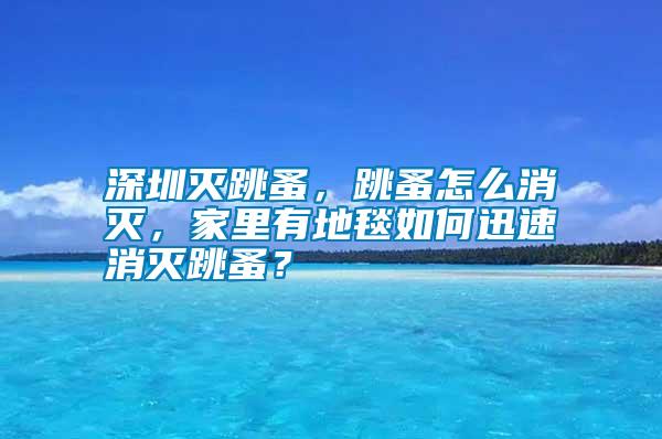 深圳滅跳蚤，跳蚤怎么消滅，家里有地毯如何迅速消滅跳蚤？