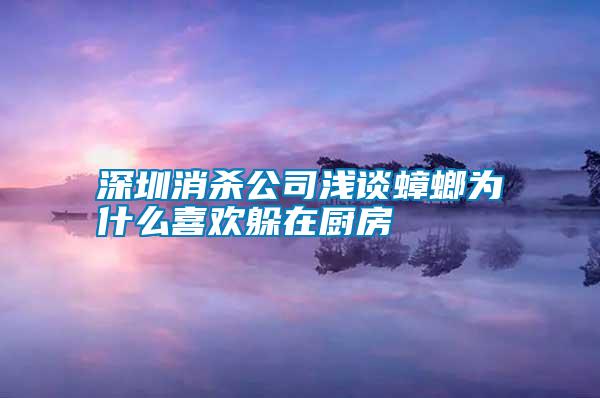 深圳消殺公司淺談蟑螂為什么喜歡躲在廚房