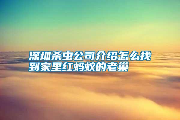 深圳殺蟲(chóng)公司介紹怎么找到家里紅螞蟻的老巢