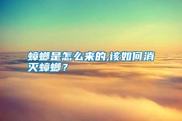 蟑螂是怎么來的,該如何消滅蟑螂？