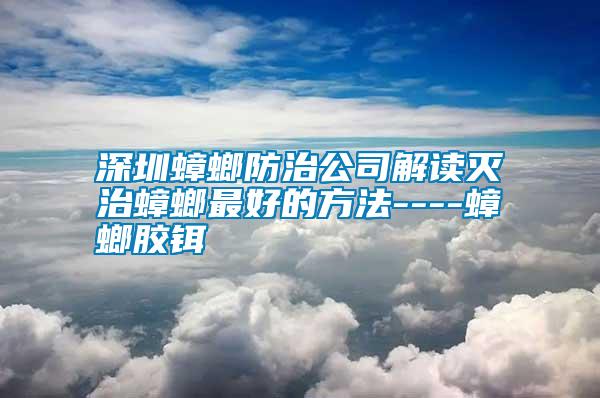 深圳蟑螂防治公司解讀滅治蟑螂最好的方法----蟑螂膠鉺