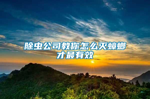 除蟲(chóng)公司教你怎么滅蟑螂才最有效