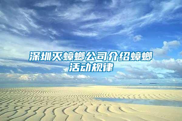 深圳滅蟑螂公司介紹蟑螂活動規(guī)律