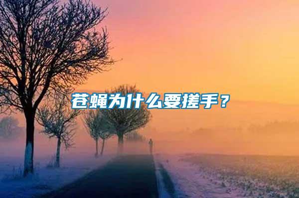 蒼蠅為什么要搓手？