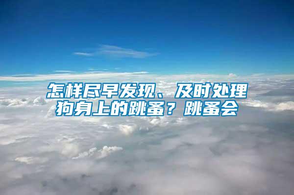 怎樣盡早發(fā)現(xiàn)、及時處理狗身上的跳蚤？跳蚤會