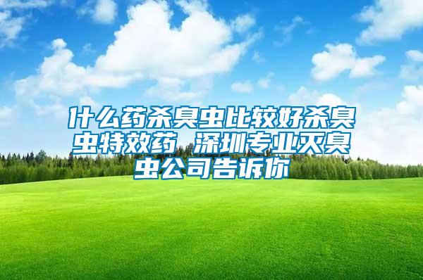 什么藥殺臭蟲(chóng)比較好殺臭蟲(chóng)特效藥 深圳專業(yè)滅臭蟲(chóng)公司告訴你