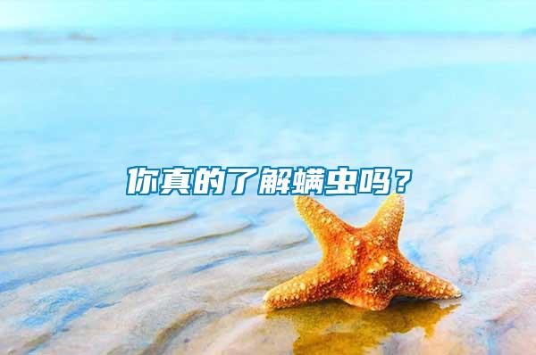 你真的了解螨蟲嗎？