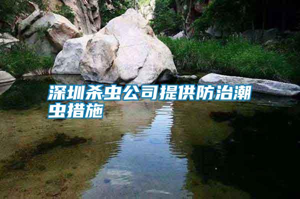 深圳殺蟲公司提供防治潮蟲措施