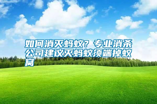 如何消滅螞蟻？專業(yè)消殺公司建議滅螞蟻須端掉蟻窩