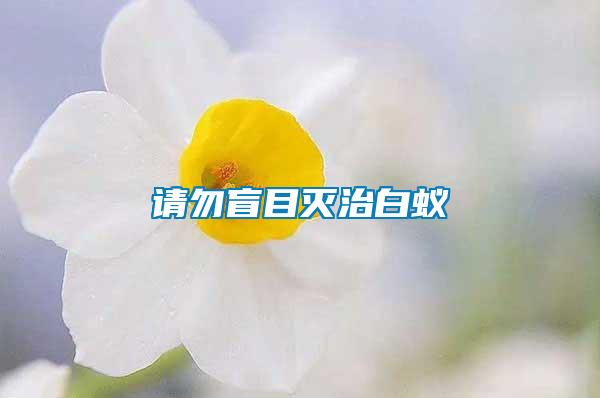 請(qǐng)勿盲目滅治白蟻