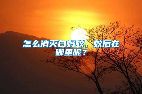 怎么消滅白螞蟻，蟻后在哪里呢？