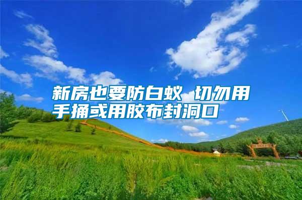 新房也要防白蟻 切勿用手捅或用膠布封洞口