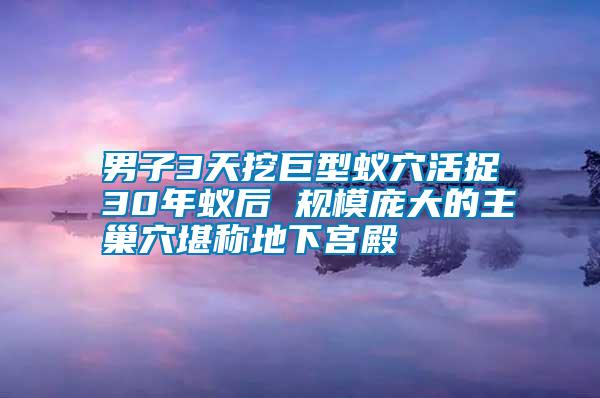 男子3天挖巨型蟻穴活捉30年蟻后 規(guī)模龐大的主巢穴堪稱地下宮殿