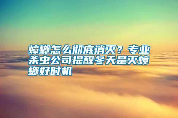 蟑螂怎么徹底消滅？專業(yè)殺蟲公司提醒冬天是滅蟑螂好時機(jī)