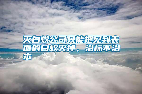 滅白蟻公司只能把見到表面的白蟻滅掉，治標不治本