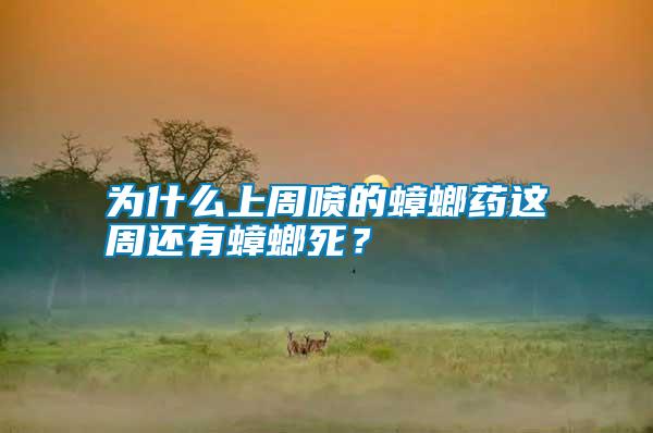 為什么上周噴的蟑螂藥這周還有蟑螂死？