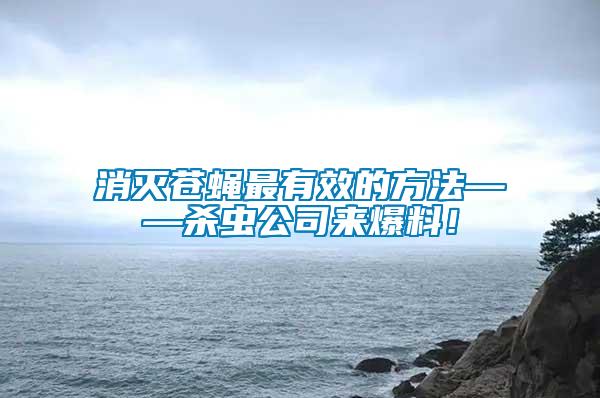 消滅蒼蠅最有效的方法——?dú)⑾x公司來(lái)爆料！