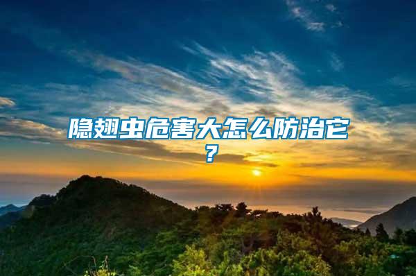 隱翅蟲危害大怎么防治它？