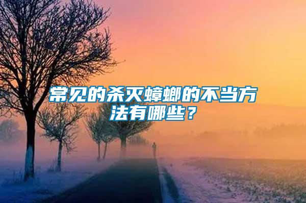 常見的殺滅蟑螂的不當(dāng)方法有哪些？