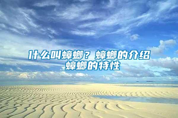 什么叫蟑螂？蟑螂的介紹 蟑螂的特性