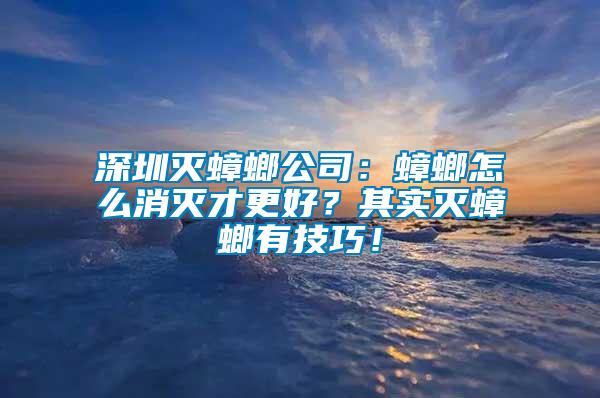 深圳滅蟑螂公司：蟑螂怎么消滅才更好？其實滅蟑螂有技巧！