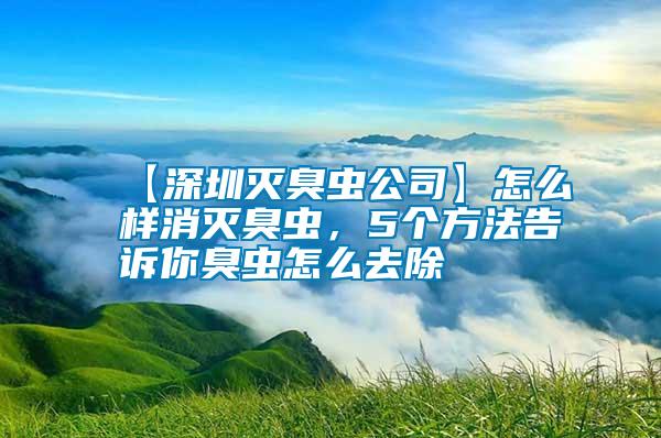 【深圳滅臭蟲(chóng)公司】怎么樣消滅臭蟲(chóng)，5個(gè)方法告訴你臭蟲(chóng)怎么去除