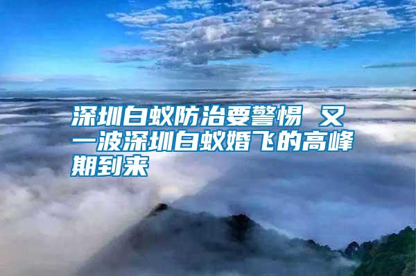 深圳白蟻防治要警惕 又一波深圳白蟻婚飛的高峰期到來