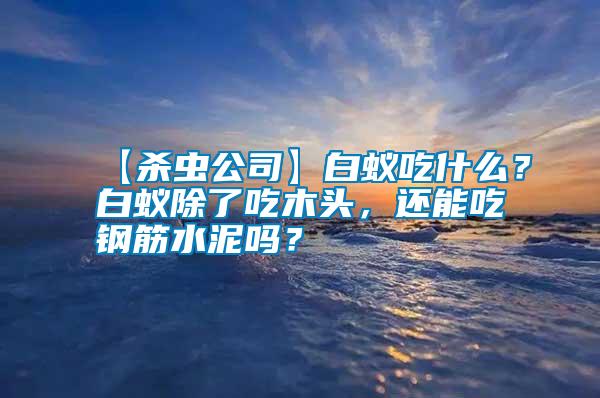 【殺蟲公司】白蟻吃什么？白蟻除了吃木頭，還能吃鋼筋水泥嗎？