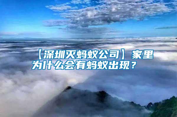 【深圳滅螞蟻公司】家里為什么會有螞蟻出現(xiàn)？