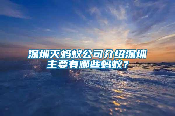 深圳滅螞蟻公司介紹深圳主要有哪些螞蟻？