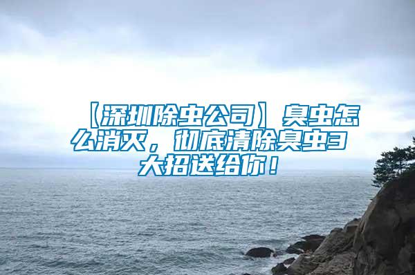 【深圳除蟲公司】臭蟲怎么消滅，徹底清除臭蟲3大招送給你！