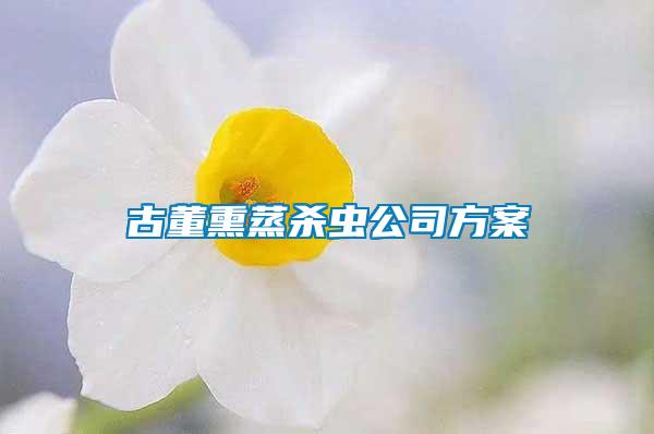 古董熏蒸殺蟲(chóng)公司方案