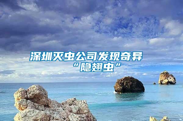 深圳滅蟲公司發(fā)現(xiàn)奇異“隱翅蟲”