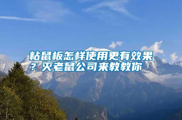 粘鼠板怎樣使用更有效果？滅老鼠公司來教教你