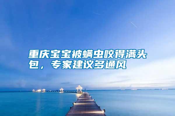 重慶寶寶被螨蟲咬得滿頭包，專家建議多通風(fēng)