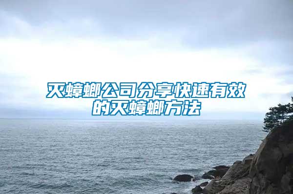 滅蟑螂公司分享快速有效的滅蟑螂方法