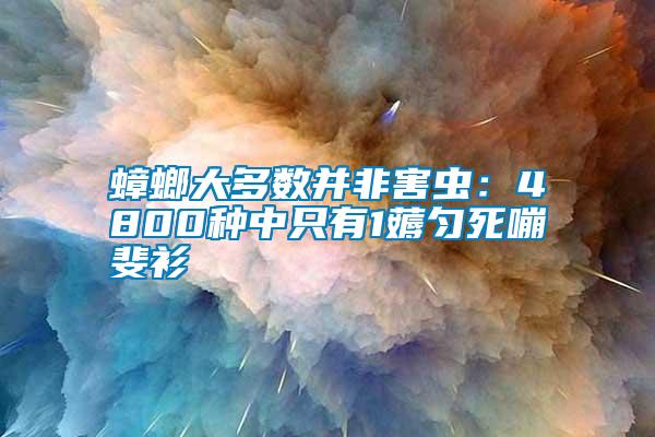 蟑螂大多數(shù)并非害蟲(chóng)：4800種中只有1薅勻死嘣斐衫