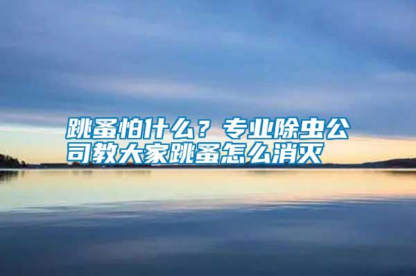 跳蚤怕什么？專業(yè)除蟲(chóng)公司教大家跳蚤怎么消滅