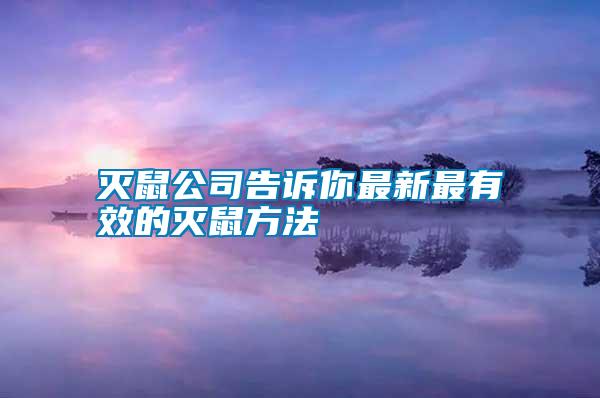 滅鼠公司告訴你最新最有效的滅鼠方法