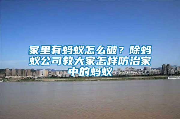 家里有螞蟻怎么破？除螞蟻公司教大家怎樣防治家中的螞蟻