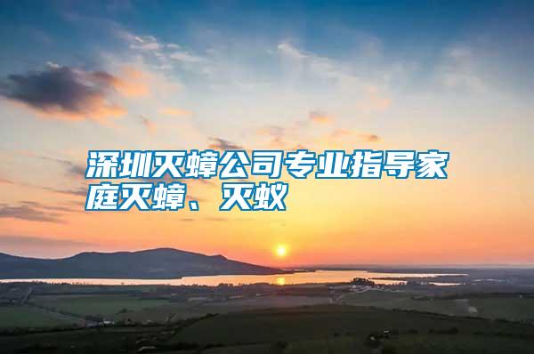 深圳滅蟑公司專業(yè)指導(dǎo)家庭滅蟑、滅蟻