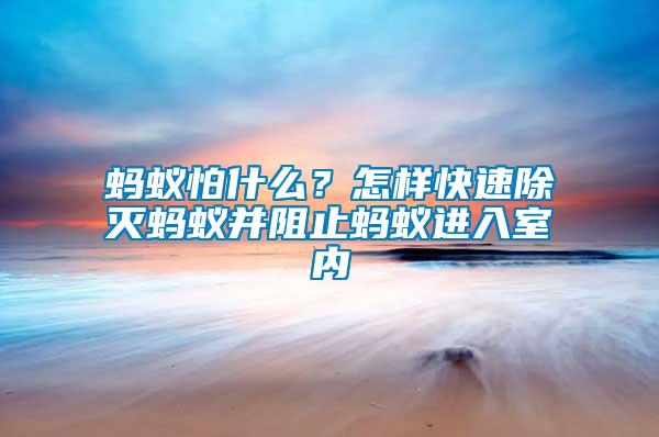 螞蟻怕什么？怎樣快速除滅螞蟻并阻止螞蟻進(jìn)入室內(nèi)